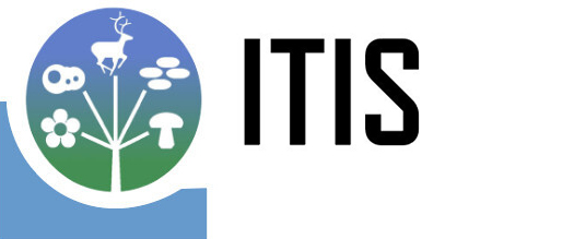 Integrated Taxonomic Information System logo
