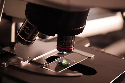 a microscope